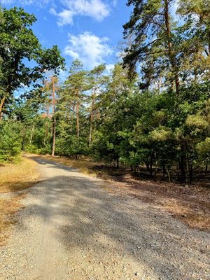 Morning gravel shreds