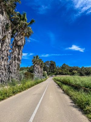 Mallorca joy ride for the love of cycling ❤️