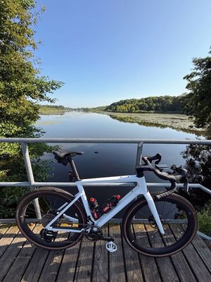 Sun is beautiful! Spreeauen Gravel and Asphalt☀️