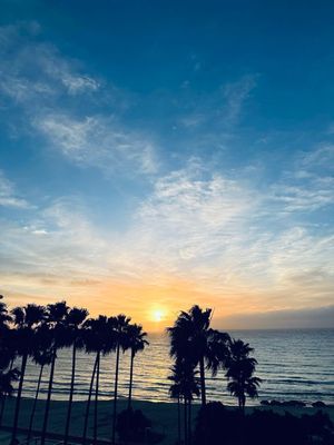 Mallorca: Sa Coma morning trail run