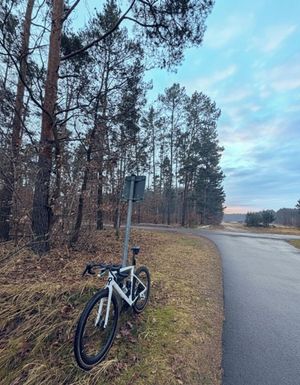 OMG an outdoor ride! greasy, grey, good?