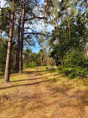 Morning gravel shreds